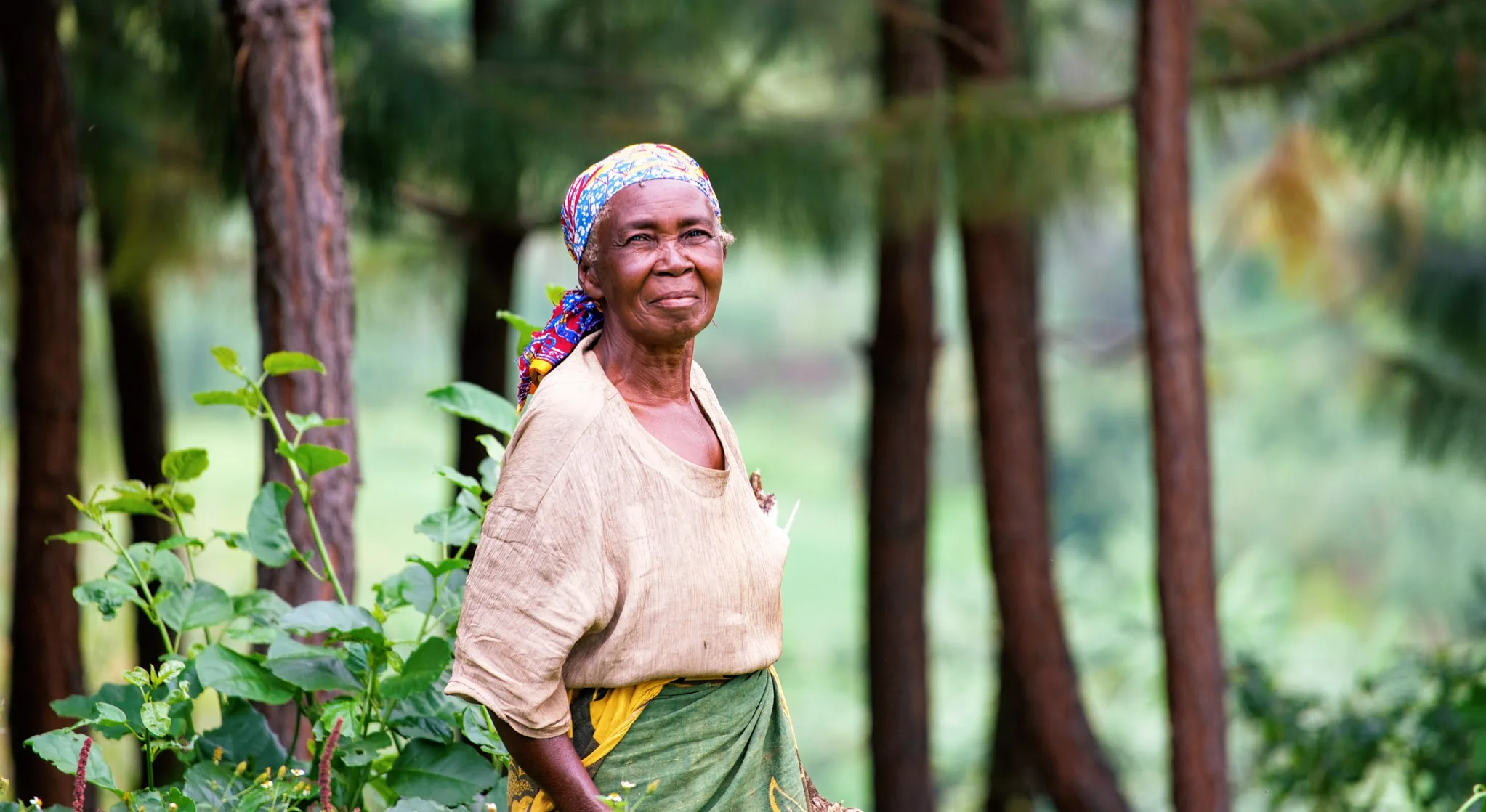 Digitalisering er en viktig del av norsk bistand